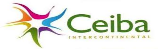 Logo Ceiba Intercontinental