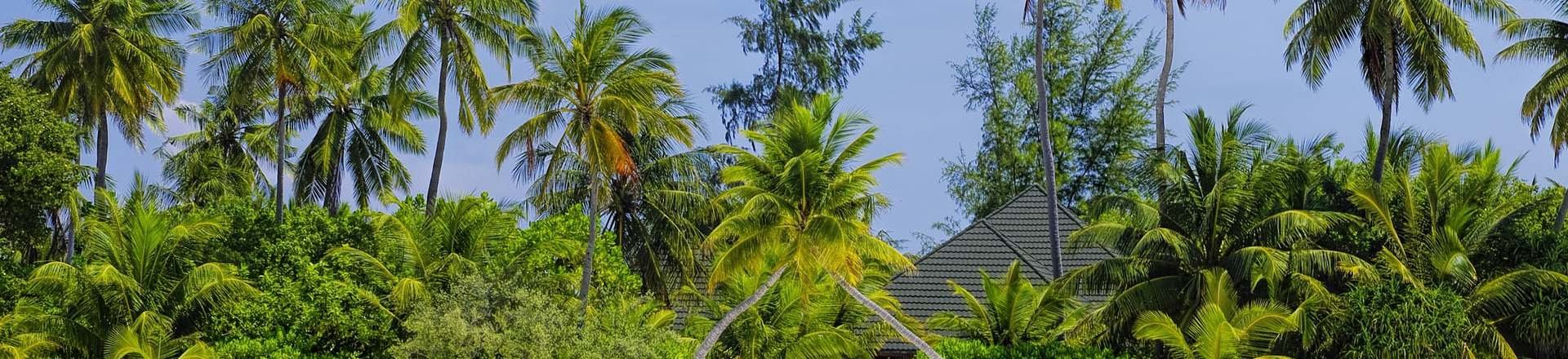 Descubre Samoa - Fly & Drive Descubre Samoa - Fly & Drive