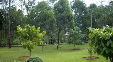 Yaoundé