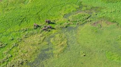 Aventura en Tanzania y Kenia Aventura en Tanzania y Kenia