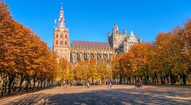 斯海尔托亨博斯