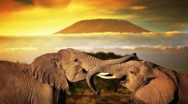 Viaje organizado a Sudafrica - Mayores de 60 años 