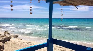 Viviendas Los Olivos   Formentera Break - Playa Mitjorn