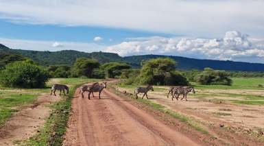 Tanzania: Safari Marafiki 
