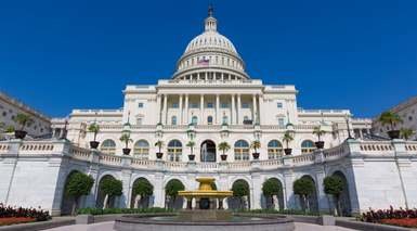 Washington D.C