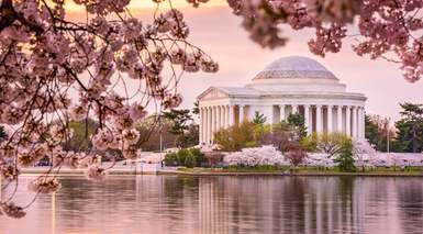 Washington D.C