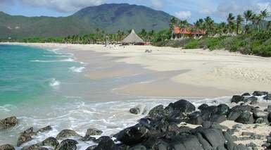 جزيرة مارغريتا