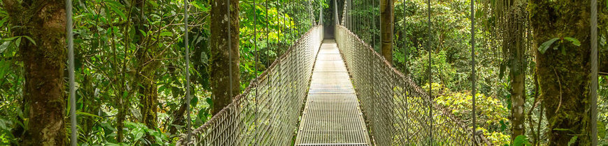 Costa Rica Salvaje y Playas del Caribe