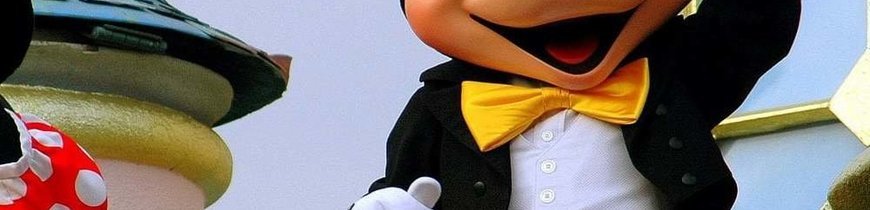 Orlando: 3 Días en Parques Disney y 2 en Parques Universal