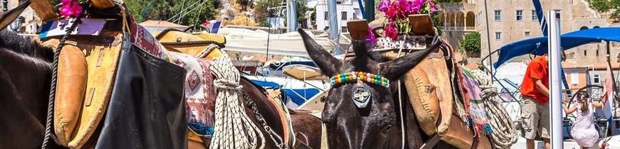 Atenas, Santorini y Crucero por Islas Griegas