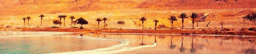 Jordania al Completo con Noche en Mar Muerto