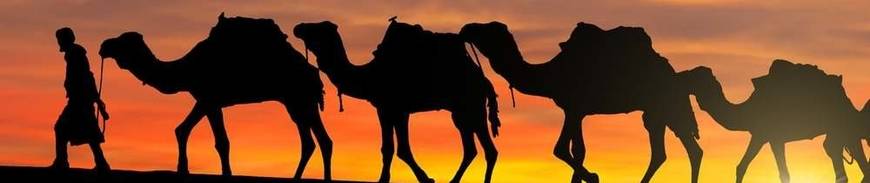 Jordania Esencial con Noche en el Desierto