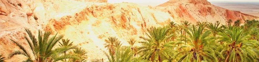 Túnez: Oasis e Historia - Rebajas