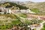Belén (Palestina)