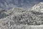 Pal-Arinsal