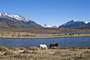 El Calafate