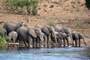 Chobe National Park (Botsuana)