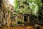 Siem Reap (Cambodia)