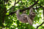 Manuel Antonio National Park