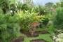 Liberia (Costa Rica)