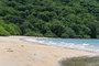 Tamarindo