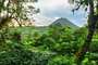 Arenal Volcano