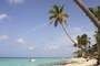 Bayahibe