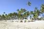 Bavaro