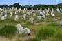 Carnac