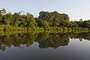 Gambia River (Gambia)
