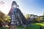 Tikal (Guatemala)