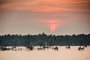 Kochi (India)