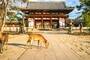 Nara