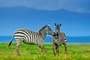 Parque Nacional Lago Nakuru (Kenia)