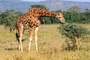 Kenia