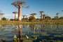 Morondava