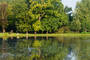 Vondel Park