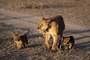 Kruger National Park