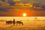 Shamwari Game Reserve