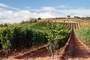 La Rioja