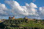 Alcántara