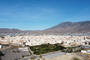 El Ejido