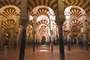 Cordoba