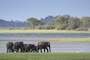 Parque Nacional de Minneriya (Sri Lanka)