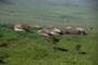 Tanzania