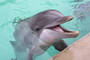 SeaWorld