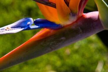 Aparthotel Cabicastro