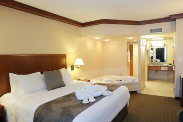 فندق Best Western Plus Lamplighter Inn & Conference Centre