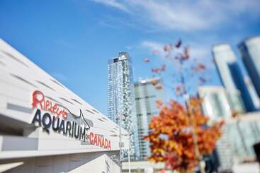 هتل The Westin Harbour Castle, Toronto