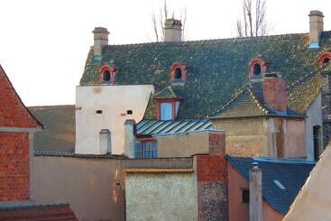 هتل Patricia Strasbourg Hyper Centre